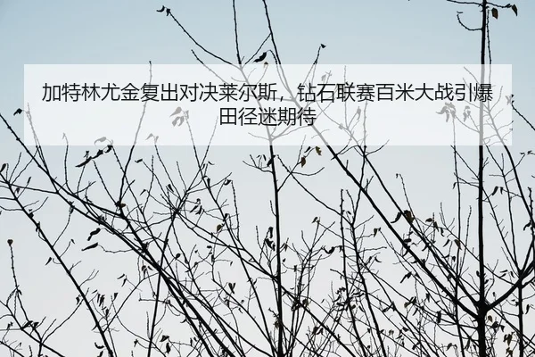jia-te-lin-you-jin-fu-chu-dui-jue-lai-er-si-zuan-shi-lian-sai-bai-mi-da-zhan-yin-bao-tian-jing-mi-qi-dai-2-121.jpg